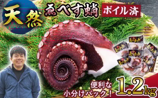 yRR̓VR^RIz ׂ v1.2kgi150g×8Pj吣˒ [CAR004]茧Cs18000ECYCJE^REEj