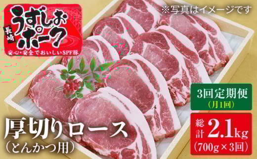 y1700g×3ցz肤|[N [XiƂ񂩂pjv2.1kg 󂠂聃X[p[EGXg [CAG102] 肤|[N [X Ƃ񂩂 󂠂 uh ؓ Y Ⓚ 