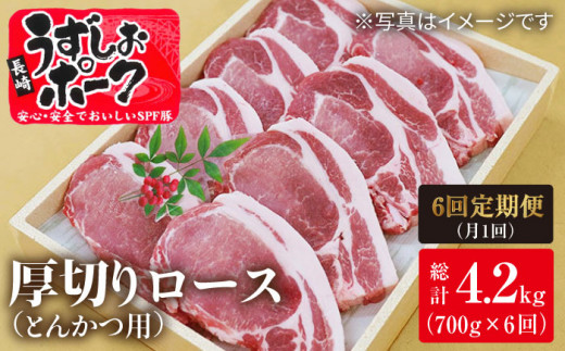 y1700g×6ցz肤|[N [XiƂ񂩂pjv4.2kg 󂠂聃X[p[EGXg [CAG103] 肤|[N [X Ƃ񂩂 󂠂 uh ؓ Y Ⓚ 