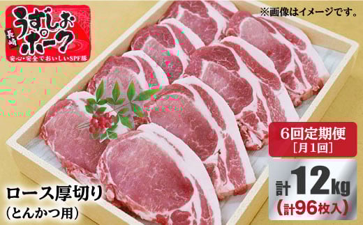 y12kg×6ցz肤|[N [XiƂ񂩂pjv12kg 󂠂聃X[p[EGXg [CAG122]gJcpؓ [X q ؂ Y uh Vs _炩茧C
