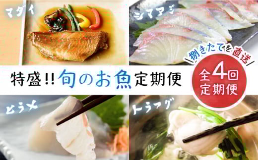 y{̂ցz哇̊C̍KґւɁI哇Yc [CBW013]茧Cs92000ECYN