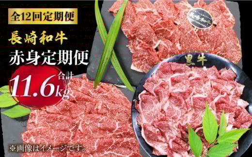 ŷJɁzy12ցza Ԑg×12ց  [CBA040]茧Cs440000