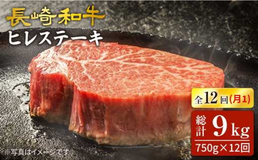 y12  z a qXe[L v750gi5j×12ցX[p[EGXg [CAG192]茧Cs792000
