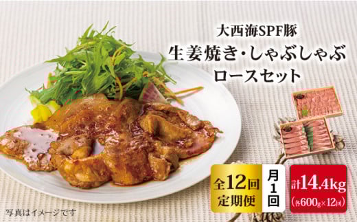 y11.2kg×12ցz吼CSPF w[X 傤ĂpԂԗp v14.4kg 󂠂 吼Ct@[ [CEK101]茧Cs170000ؓ