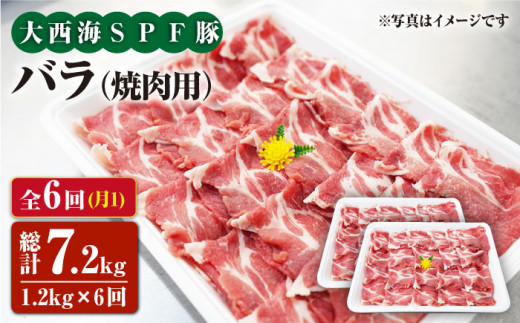 y11.2kg×6ցz吼CSPF oiēpjv7.2kg 󂠂 吼Ct@[ [CEK083]茧Cs85000ؓ
