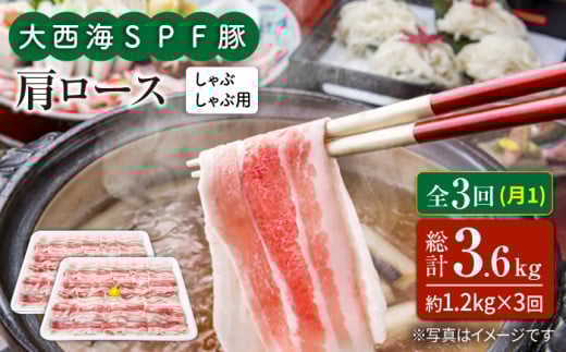y11.2kg×3ցz吼CSPF [XiԂԗpjv3.6kg 󂠂 吼Ct@[ [CEK092]茧Cs43000ؓ