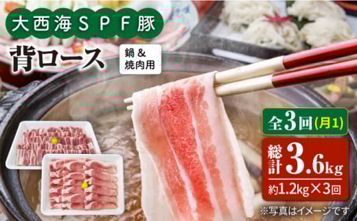 y11.2kg×3ցz吼CSPF w[XiēԂԗpjv3.6kg 󂠂 吼Ct@[ [CEK098]茧Cs43000ؓ