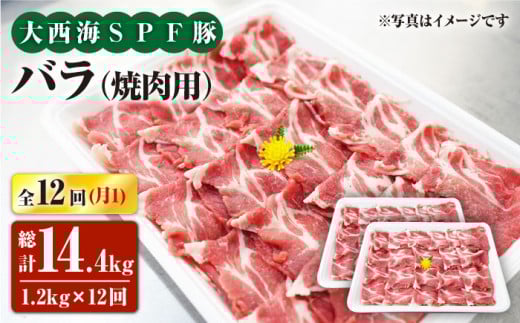 y11.2kg×12ցz吼CSPF oiēpjv14.4kg 󂠂 吼Ct@[ [CEK121]茧Cs170000ؓ