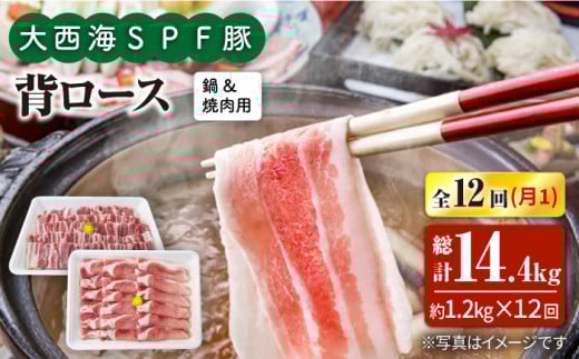 y11.2kg×12ցz吼CSPF w[XiēԂԗpjv14.4kg 󂠂 吼Ct@[ [CEK129]茧Cs170000ؓ