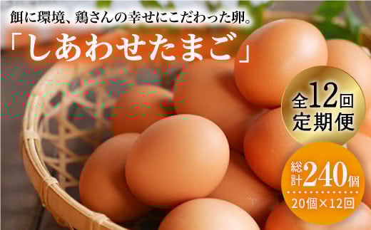 y120×12  z  u 킹 ܂ vv240{{{ꁄ [CCD031]茧Cs110000Eii{AG{j