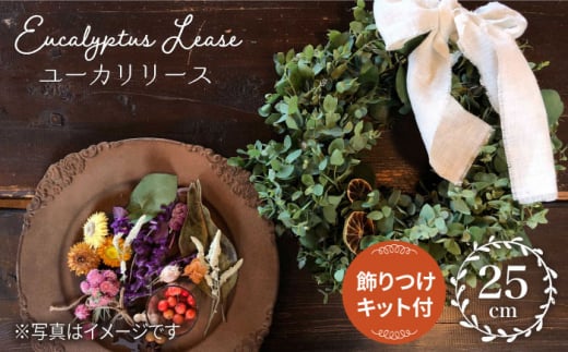 y݂Ȃō낤z[J[X tLbgtPearl Bay Caf? & Flowers [CEW005]茧Cs25000ߗށEiEH|ȋ iEH|i