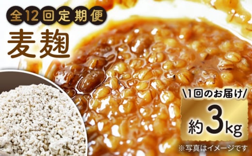 y12ցz茧Y唞gp̊ 3kgqY|LЁr [CDN124]茧Cs210000āEpāEGāEāE