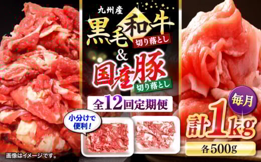 y12ցz ؂藎Ƃ јa Yؐ؂藎Ƃ v1kg{{{Y [CFA021]  C a؂藎Ƃ   ؓ u^  ؂藎Ƃ a؂藎Ƃ茧Cs132000