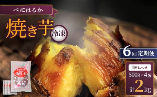 y6ցzyƂ낯z Ă Ⓚ 2kg n̂̂ [CDA039]茧Cs72000؁ÊႪEC