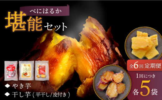 y6ցzy\Zbgz ׂɂ͂邩 \Zbg e5pbN n̂̂ [CDA051]茧Cs153000؁ÊႪEC