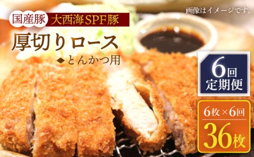 y6ցz吼CSPF Y ؂胍[X Ƃ񂩂p v900gi6j 󂠂 吼Ct@[ [CEK176]茧Cs74000ؓ