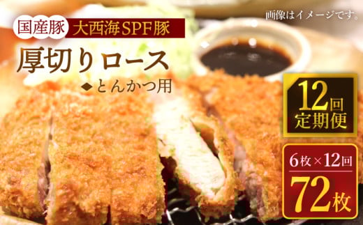 y12ցz吼CSPF Y ؂胍[X Ƃ񂩂p v900gi6j 󂠂 吼Ct@[ [CEK177]茧Cs148000ؓ