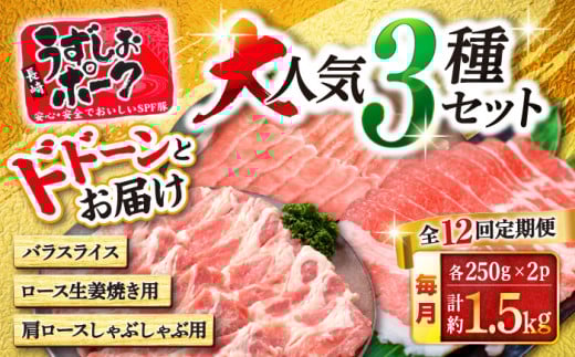 y12ցz肤|[N lC3 Zbg 󂠂 Y X[p[EGXg [CAG221]茧Cs201000ؓ