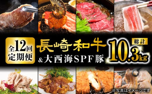 yI[X^[  zy12ցz a 吼CSPF ґ  吼Ct@[ [CEK186]  C a Y SPF Y T[CXe[L  lC Ă X