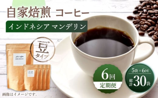 y^Cvz y6ցzyԐlCz ChlVA }f R[q[ 5 giko coffee [CFK018]茧Cs154000ER[q[Eg