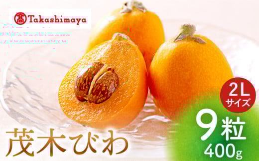 ys\z茧Yтv400g 2L 9т r f 1L  G߂ t[c ʕ Cs/ [CFQ061]茧Cs25000ʕEt[c̑ ʕEt[c