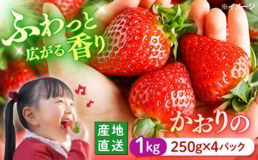  y1菇z  v1kg i250g×4pbNj_ [CFV001] 茧 Cs C`S  Mtg 嗱 ʕ t[c  ʎ Â C`S Xgx[ ܂ f