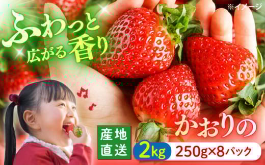  y1菇z  v2kgi250g×8pbNj_ [CFV002] 茧 Cs C`S   Mtg  嗱 ʕ t[c  ʎ Â C`S Xgx[ ܂