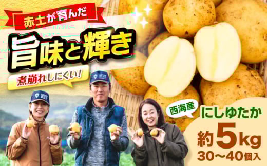 c_̖XႪ ɂ䂽 5kgiM`LTCYjc_ [CGM001] Ⴊ ۂĂ    Yn  C WKC |eg C ɂ䂽茧Cs9000