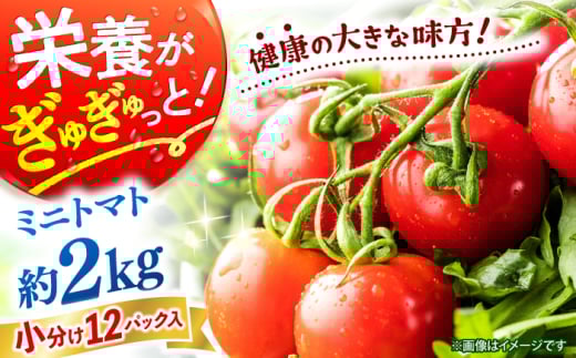 y11{菇z ~j g}g v2kgi12pbNjt@[_{ [CGP002] ~jg}g Ƃ܂  VN  ~jƂ܂  C g}g Ƃ܂ 茧Cs11000