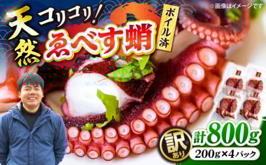 y󂠂z VR ׂ({C)  v800gi200g×4j吣˒ [CAR009]    s KiO CN  ^R茧Cs10000ECYCJE^REEj