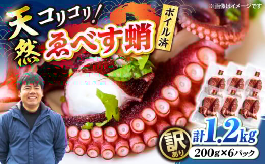 y󂠂z VR ׂ({C) v1.2kgi200g×6pbNj吣˒ [CAR010]   s KiO CN  ^R茧Cs14000ECYCJE^REEj