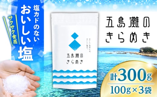 ܓ̂߂v300gi100g×3܁j_C\gЁ [CGS001]茧Cs9000EEӞE