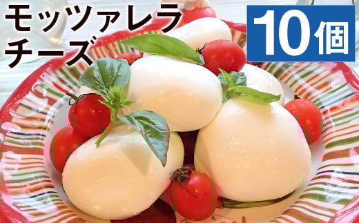 モッツァレラチーズ 「ミル爆」計1kg(100g×10個)チーズ【90日以内に出荷予定(土日祝除く)】 st-p熊本県菊池市27000卵・乳製品チーズ