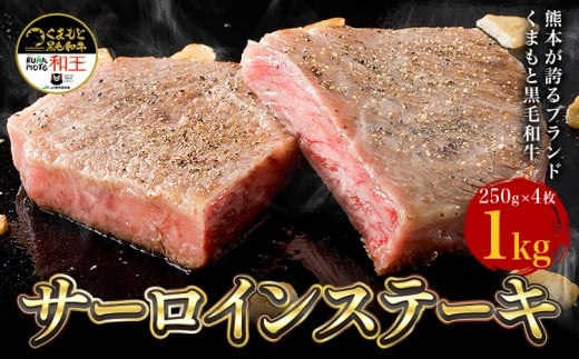 熊本県産 黒毛和牛 サーロイン ステーキ 計1kg(250g×4)《90日以内に出荷予定(土日祝除く)》国産 牛肉熊本県菊池市52500肉牛肉