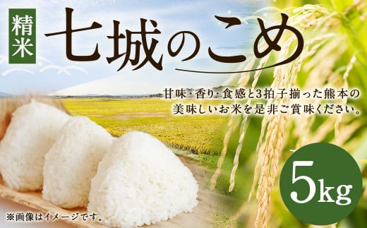 七城のこめ 精米 5kg ヒノヒカリ ひのひかり《30日以内に出荷予定(土日祝を除く)》  白米 九州産 熊本県産熊本県菊池市21000米・パン白米