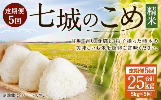 【5ヶ月定期便】七城のこめ 精米 計25kg(5kg×5回)ヒノヒカリ 《お申込みの翌月から出荷予定》白米 お米 米 おこめ 九州産 熊本県産熊本県菊池市105000米・パン白米