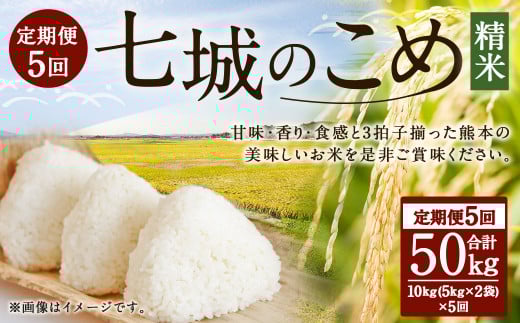 【5ヶ月定期便】七城のこめ 精米 計50kg(5kg×2袋×5回)ヒノヒカリ 《お申込みの翌月から出荷予定》白米 お米 米 おこめ 九州産 熊本県産熊本県菊池市210000米・パン白米