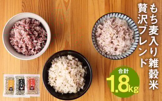 熊本県 菊池産 もち麦入り雑穀米 贅沢ブレンド 計1.8kg 600g×3種【30日以内に出荷予定(土日祝除く)】熊本県菊池市16000米・パン白米