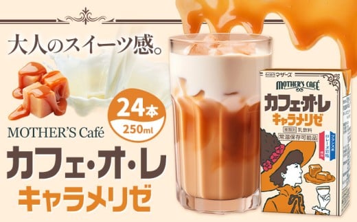 常温保存可能 カフェオレ キャラメリゼ 250ml×24本 1ケース 合同会社たべたせいか《30日以内に出荷予定(土日祝除く)》熊本県 菊池市 コーヒー牛乳 カフェ・オ・レ キャラメル 乳飲料 乳性飲