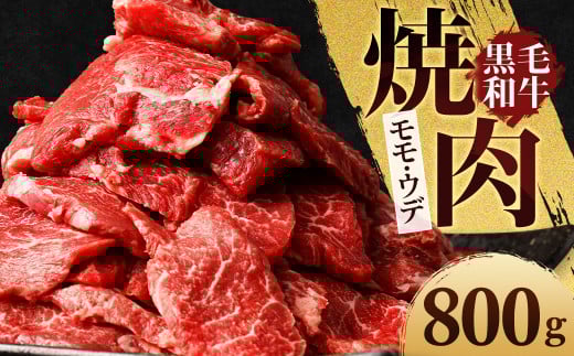 熊本県産 黒毛和牛 焼肉用 モモ・ウデ 合計800g 牛 肉《45日以内に出荷予定(土日祝除く)》熊本県菊池市24000肉牛肉