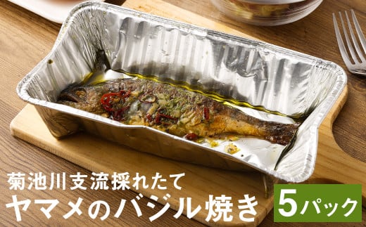 菊池川支流採れたてヤマメのバジル焼き  1尾75g×5尾 ヤマメ やまめ 魚熊本県菊池市14500魚介・海産物鮮魚