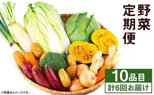 【定期便年6回】旬の野菜 10品 野菜 やさい 詰合せ 詰め合わせ セット 定期便 【養生市場】熊本県菊池市95500野菜・きのこその他 野菜