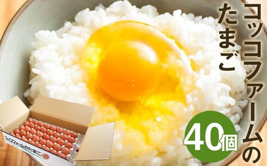 コッコファームのたまご 40個入 たまご タマゴ 卵 《90日以内に出荷予定(土日祝除く)》熊本県菊池市10500卵・乳製品卵(鶏、烏骨鶏等)