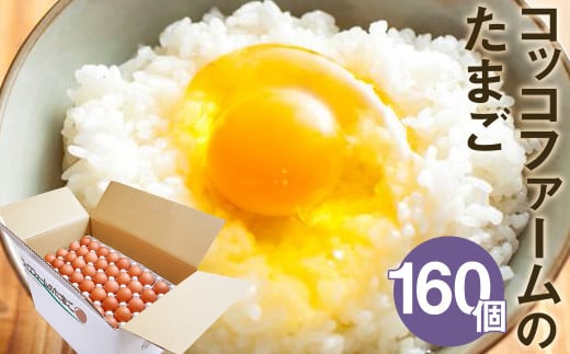 コッコファームのたまご 160個入 たまご タマゴ 卵 《90日以内に出荷予定(土日祝除く)》熊本県菊池市24500卵・乳製品卵(鶏、烏骨鶏等)