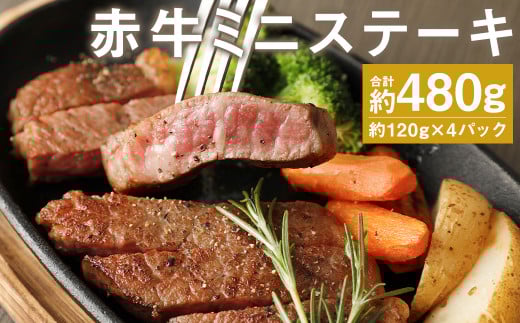 ԋ~jXe[L 480g vʎgp(120g×4pbN)F{ers20500