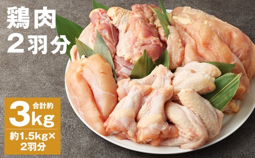 鶏肉 2羽分 約3kg(約1.5kg×2羽分)【30日以内に出荷予定(土日祝除く)】 st-p熊本県菊池市15500肉鶏肉