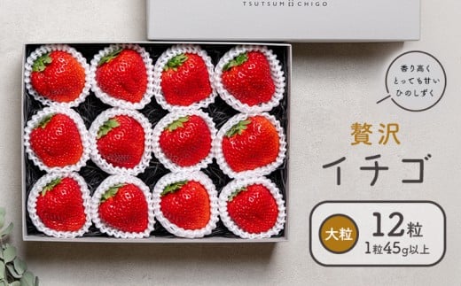 贅沢イチゴ ひのしずく 約260g×2パック 約45g×12玉 いちご イチゴ 苺《2025年12月発送予定》ヴァリアス株式会社 果物 くだもの フルーツ 希少 ギフト プレゼント 贈り物 国産 九州産 熊本県 菊