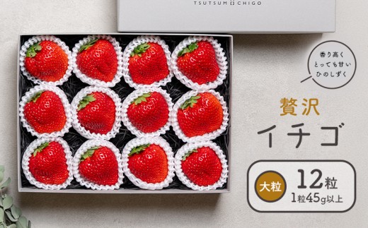 贅沢イチゴ ひのしずく 約260g×2パック 約45g×12玉 いちご イチゴ 苺《2026年2月発送予定》ヴァリアス株式会社 果物 くだもの フルーツ 希少 ギフト プレゼント 贈り物 国産 九州産 熊本県 菊池