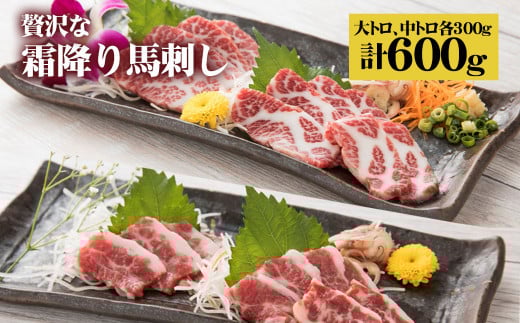 贅沢な 霜降り 馬刺しの食べ比べ 600g(大トロ馬刺し・中トロ馬刺し 各300g) 馬肉《90日以内に出荷予定(土日祝除く)》熊本県菊池市70000肉ジビエ