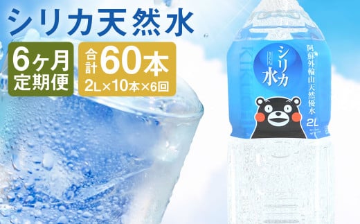 【定期便6回】シリカ天然水 2L×10本 計60本 《お申込み月の翌月から出荷開始》熊本県菊池市56000お茶・飲料水・ミネラルウォーター